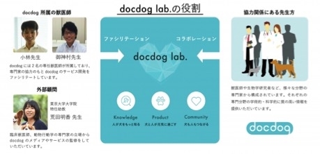愛犬の冬の足のトラブル