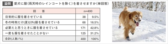 愛犬の冬の足のトラブル