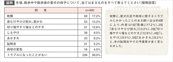 愛犬の冬の足のトラブル