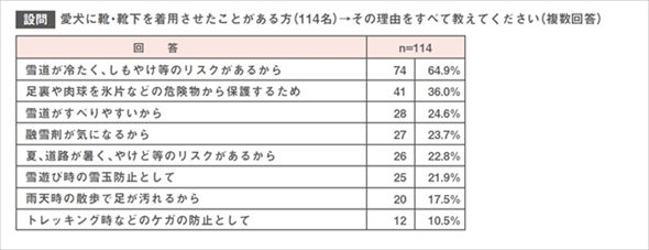 愛犬の冬の足のトラブル