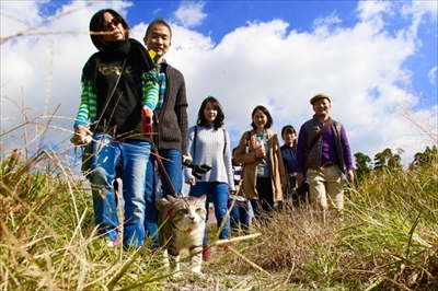 野良猫ニャン吉