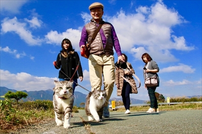 野良猫ニャン吉