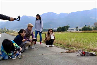 野良猫ニャン吉