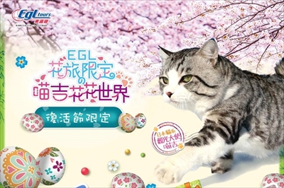 野良猫ニャン吉