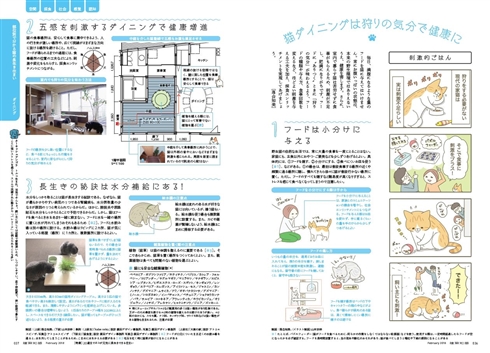 建築誌『建築知識』が猫を大特集　寿命を5歳伸ばすために家＝建築ができることは何か？