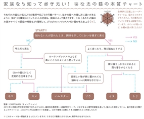 建築誌『建築知識』が猫を大特集　寿命を5歳伸ばすために家＝建築ができることは何か？