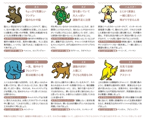 建築誌『建築知識』が猫を大特集　寿命を5歳伸ばすために家＝建築ができることは何か？