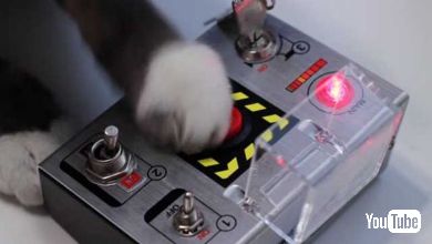 自爆スイッチ USBハブ