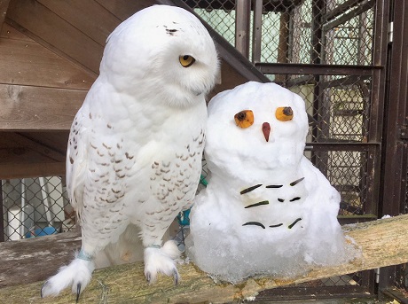 須坂市動物園フォトコンテスト