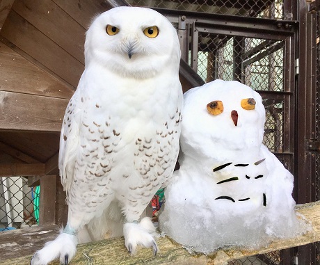 須坂市動物園フォトコンテスト