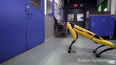 ボストン・ダイナミクス ロボット 犬 仲間