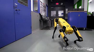 ボストン・ダイナミクス ロボット 犬 仲間