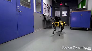 ボストン・ダイナミクス ロボット 犬 仲間