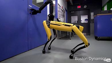 ボストン・ダイナミクス ロボット 犬 仲間