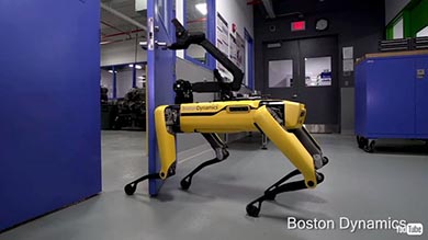 ボストン・ダイナミクス ロボット 犬 仲間