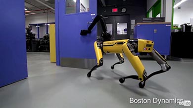 ボストン・ダイナミクス ロボット 犬 仲間