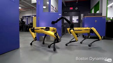 ボストン・ダイナミクス ロボット 犬 仲間