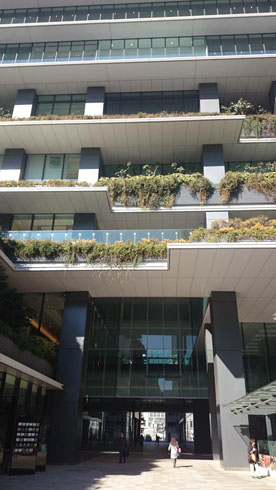 Twitter 対応 人権侵害