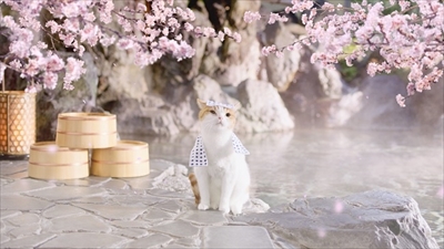 にゃらん
