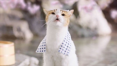 にゃらん