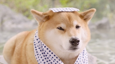 にゃらん