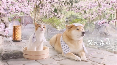 にゃらん