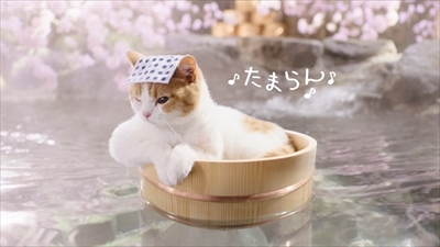 にゃらん