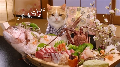 にゃらん