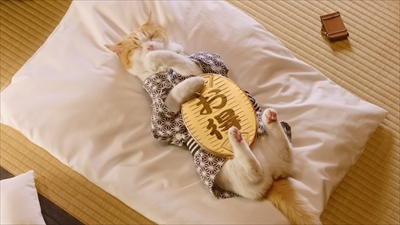 にゃらん