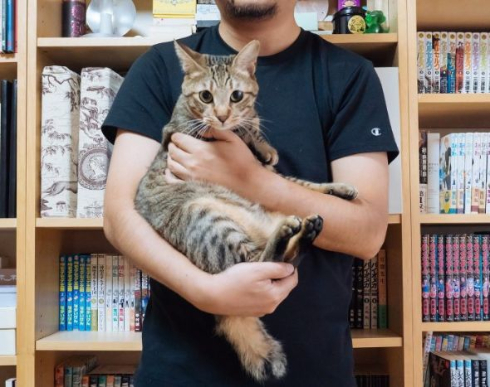 抱っこで分かる猫の性格