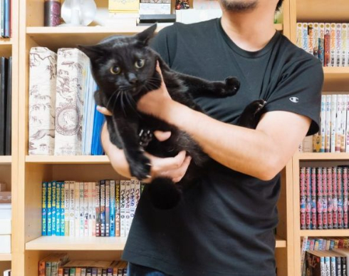 抱っこで分かる猫の性格