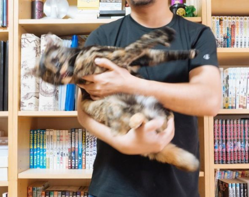 抱っこで分かる猫の性格