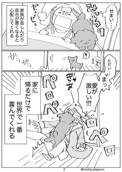 動物が苦手 犬 家族 わかったこと 漫画