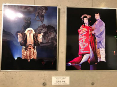 藤原紀香　システィーナ歌舞伎　美女と野獣