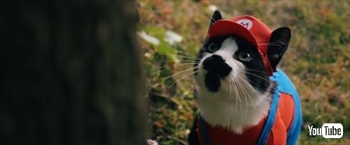 スーパーマリオキャット