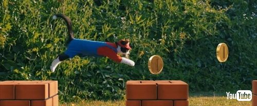 スーパーマリオキャット