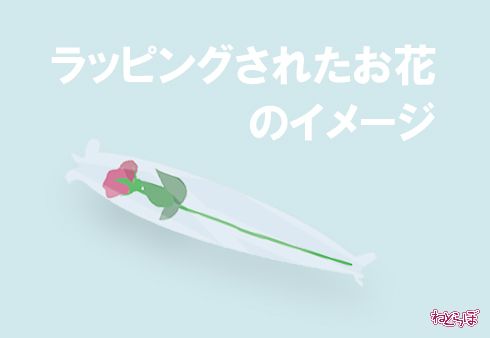 平昌 アイススケート 投げ込み プレゼント