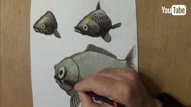 浮いて見える 3D アート イラスト vamosart