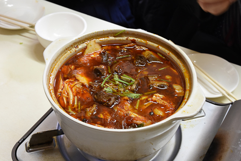 チョーヒカル ゲテモノ 犬