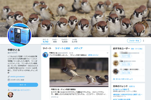 雀の画像