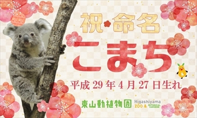 名古屋東山コアラ命名