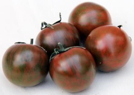 トマト ゼブラ柄 amazon