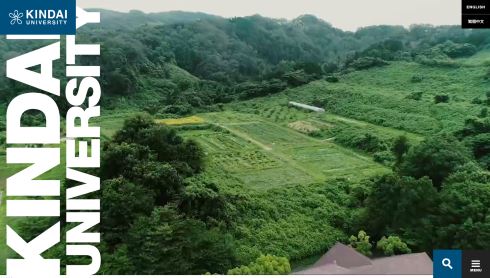 トマト ゼブラ柄 amazon