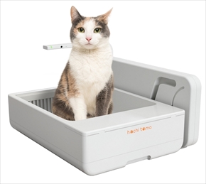 保護ねこのCTO