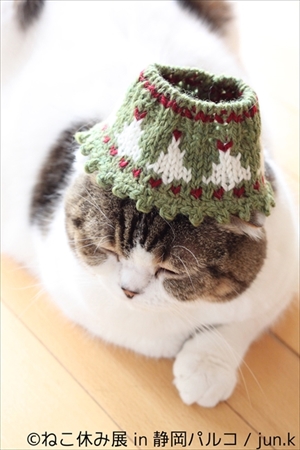 ねこ休み展 in 静岡パルコ