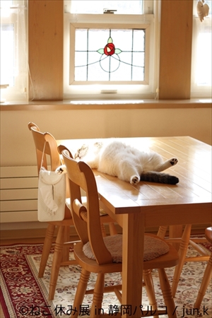 ねこ休み展 in 静岡パルコ