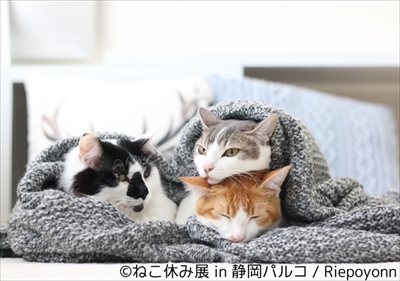 ねこ休み展 in 静岡パルコ