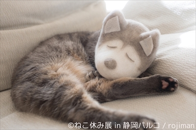 ねこ休み展 in 静岡パルコ