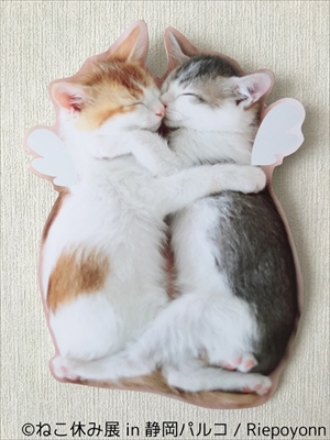 ねこ休み展 in 静岡パルコ