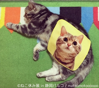 ねこ休み展 in 静岡パルコ